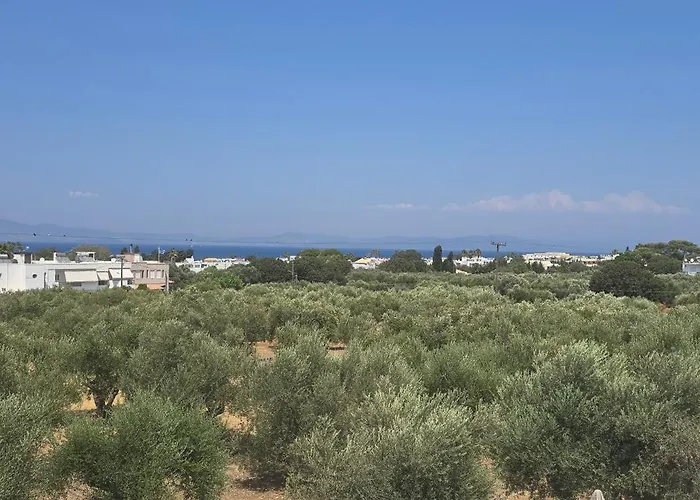 Olive Paradise Maison Holiday home